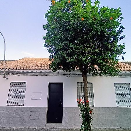 El Patio De La Alcaidesa Villa Córdoba Kültér fotó